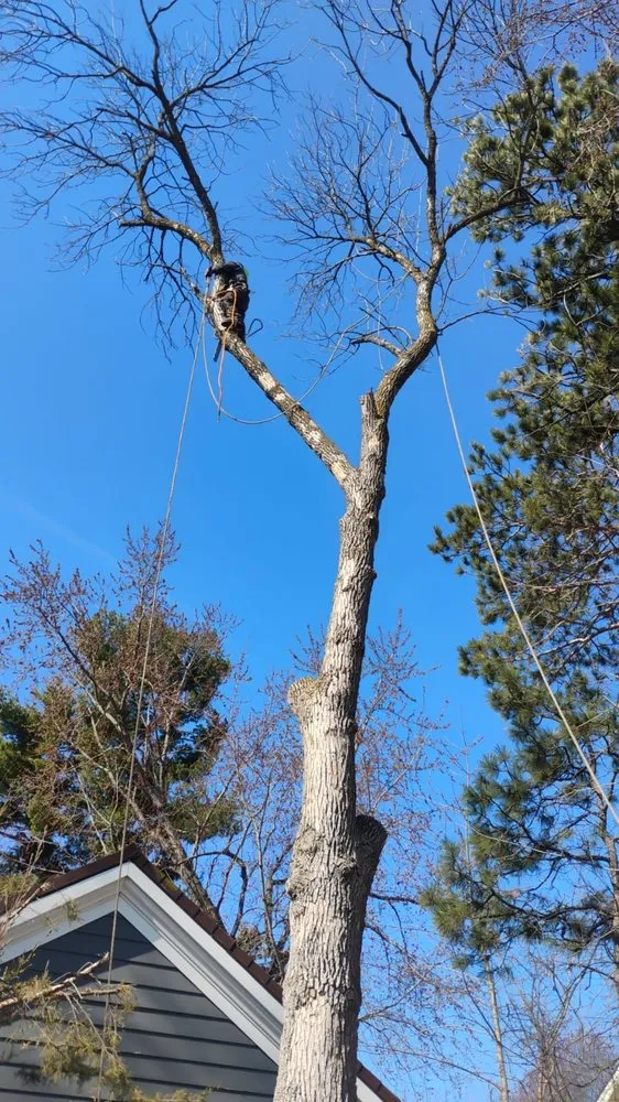 Local outdoor landscaping near you in Maple Grove, MN by M D T
