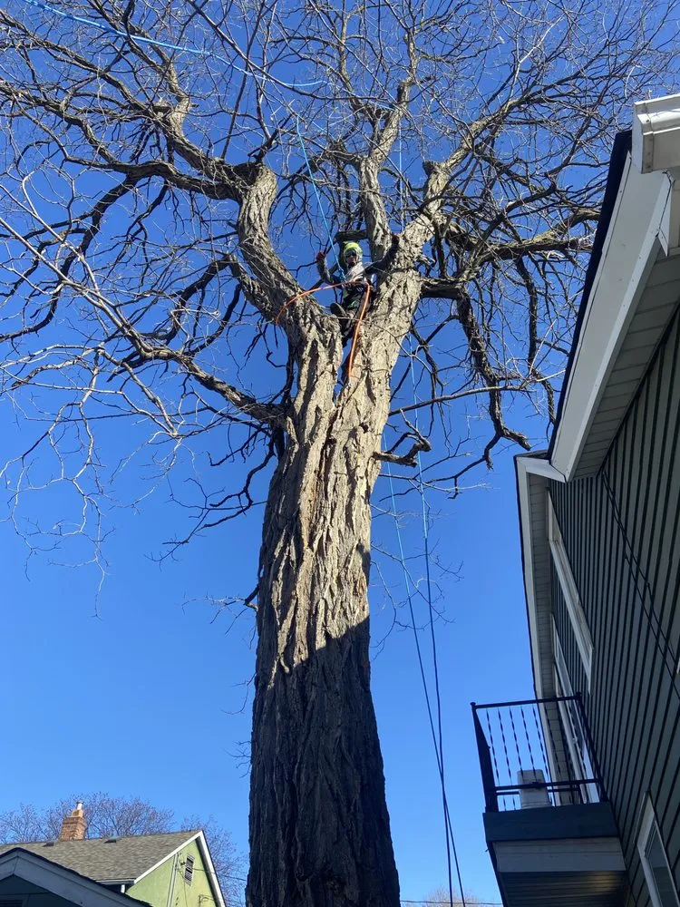 Top-rated garden landscaping in Maple Grove, MN - M D T