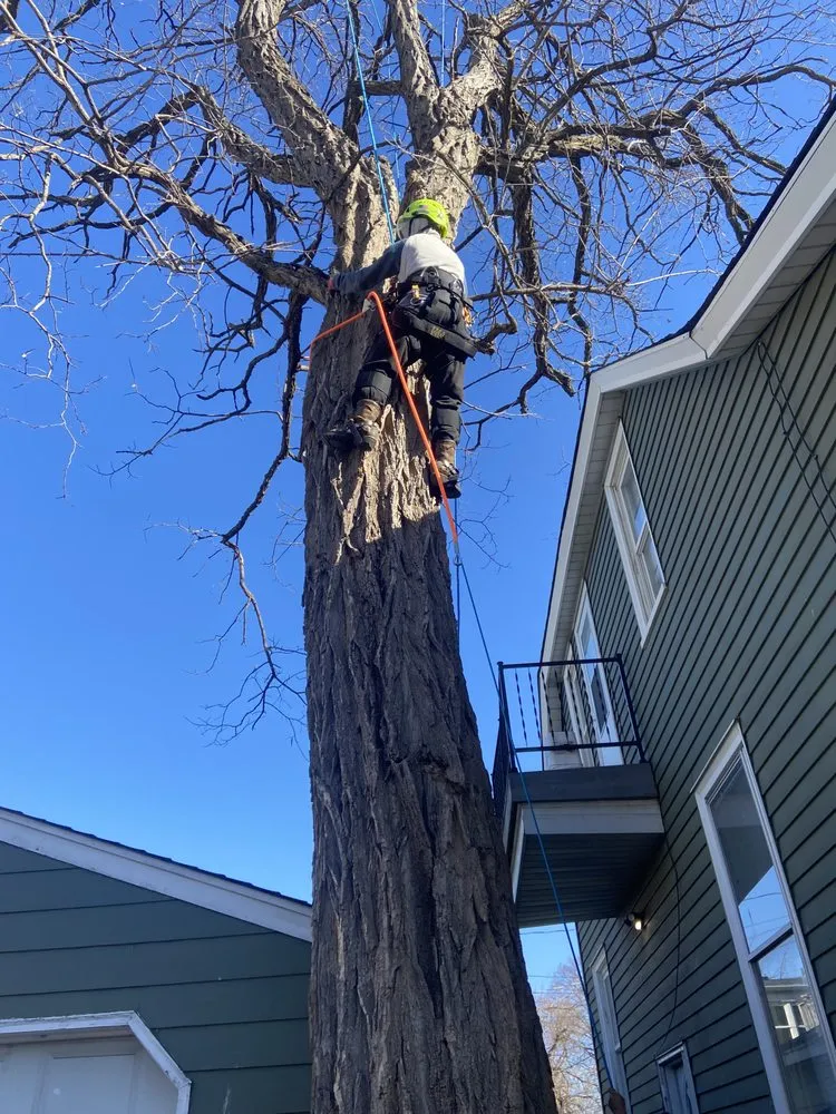 Top-rated landscape design experts serving Maple Grove, MN - M D T