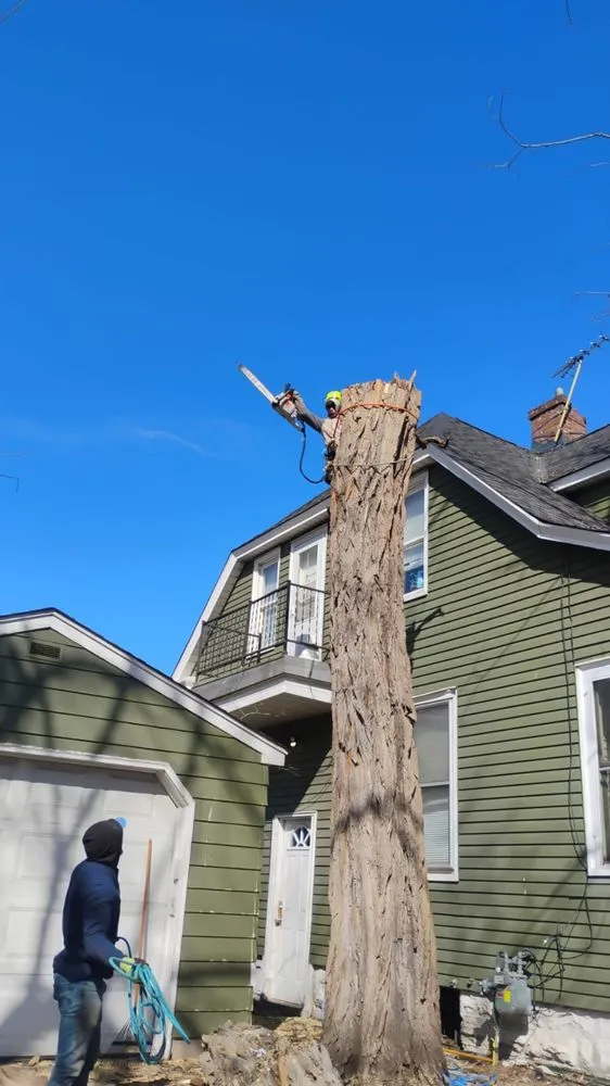 Local landscape design in Maple Grove, MN by M D T