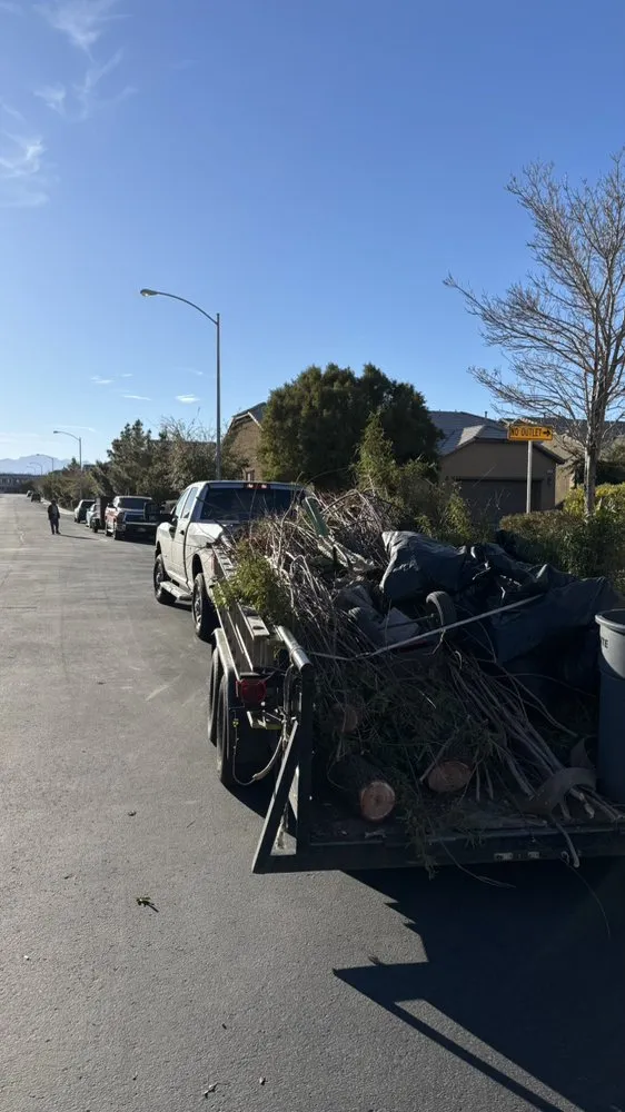 Local outdoor landscaping in Henderson, NV - M D Unique Touch