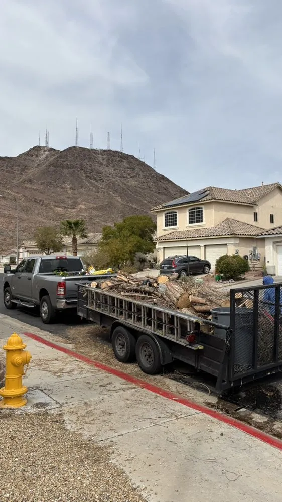 Expert garden landscaping in Henderson, NV by M D Unique Touch