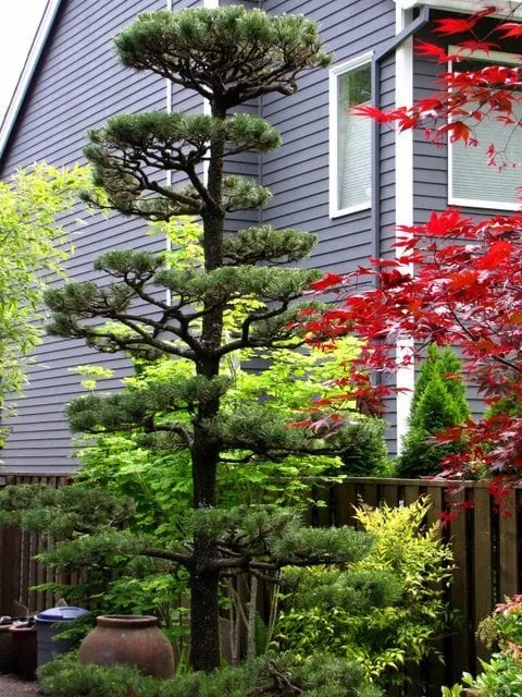 Expert yard cleanup service for year-round maintenance in Portland, OR by M. D. Vaden Landscape & Tree Care