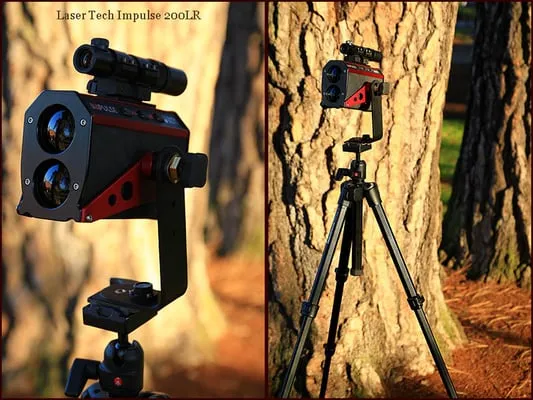 M. D. Vaden Landscape & Tree Care Logo