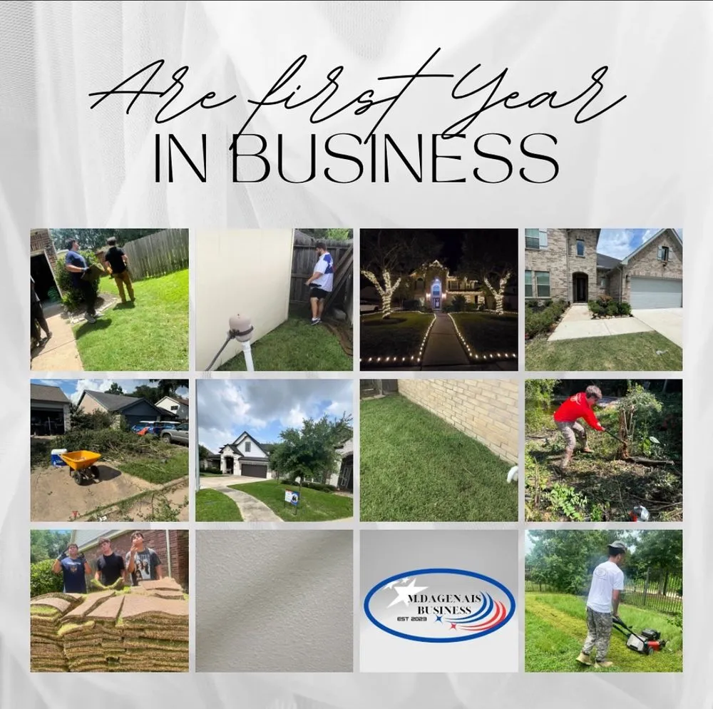 Custom landscaping services in Katy, TX - M Dagenais