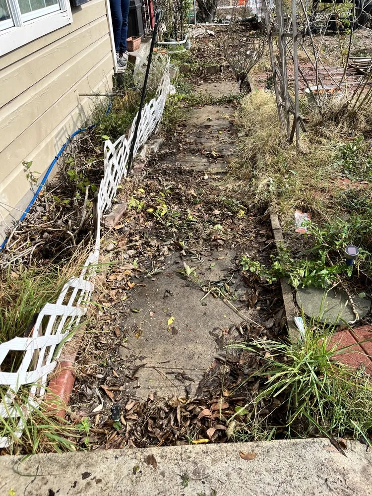 Reliable yard cleanup service in San Antonio, TX - Mì Familia Landscaping