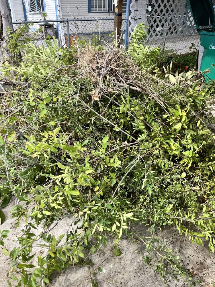 Custom yard cleanup service experts serving San Antonio, TX - Mì Familia Landscaping