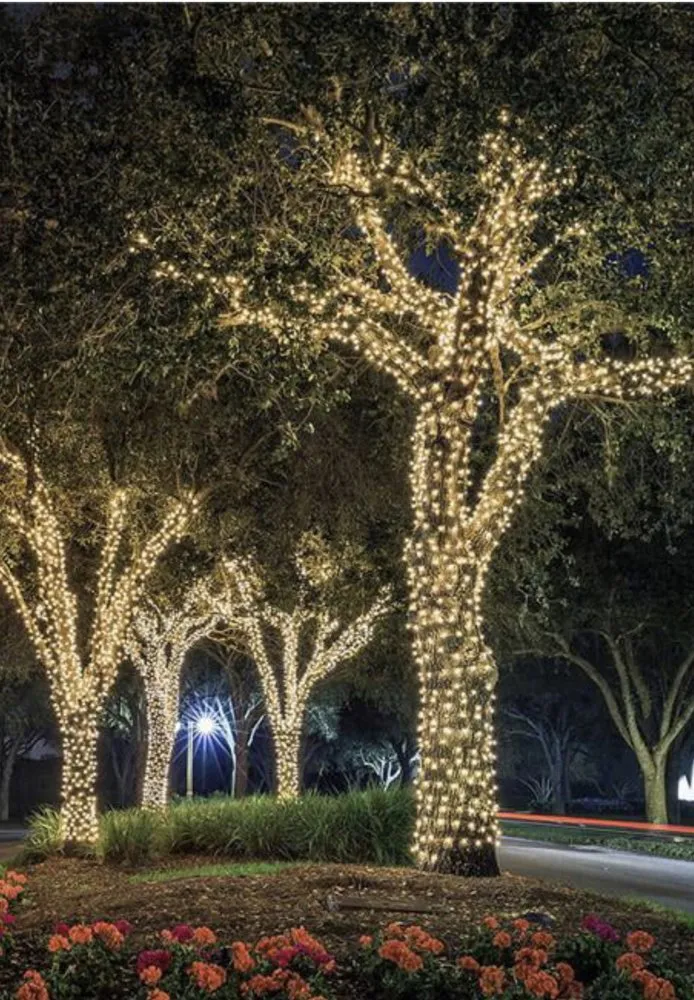 Local landscape design for outdoor upgrades in San Antonio, TX by Mì Familia Landscaping