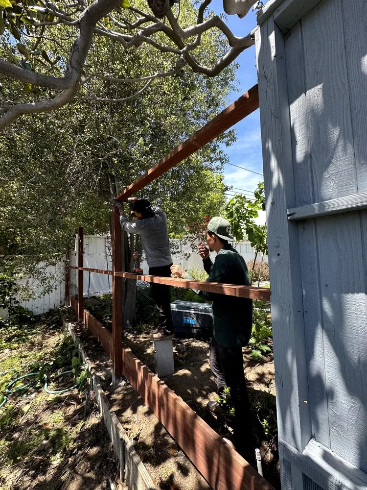 Affordable landscaping services experts serving Inglewood, CA - M Flores Landscape