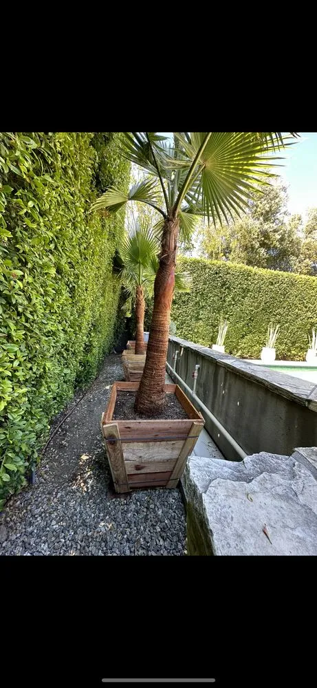 Professional landscape installation near you across Inglewood, CA - M Flores Landscape