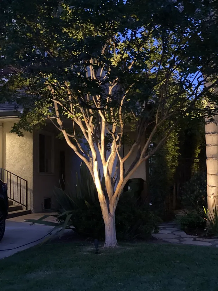 Local outdoor landscaping for residential properties across Inglewood, CA - M Flores Landscape