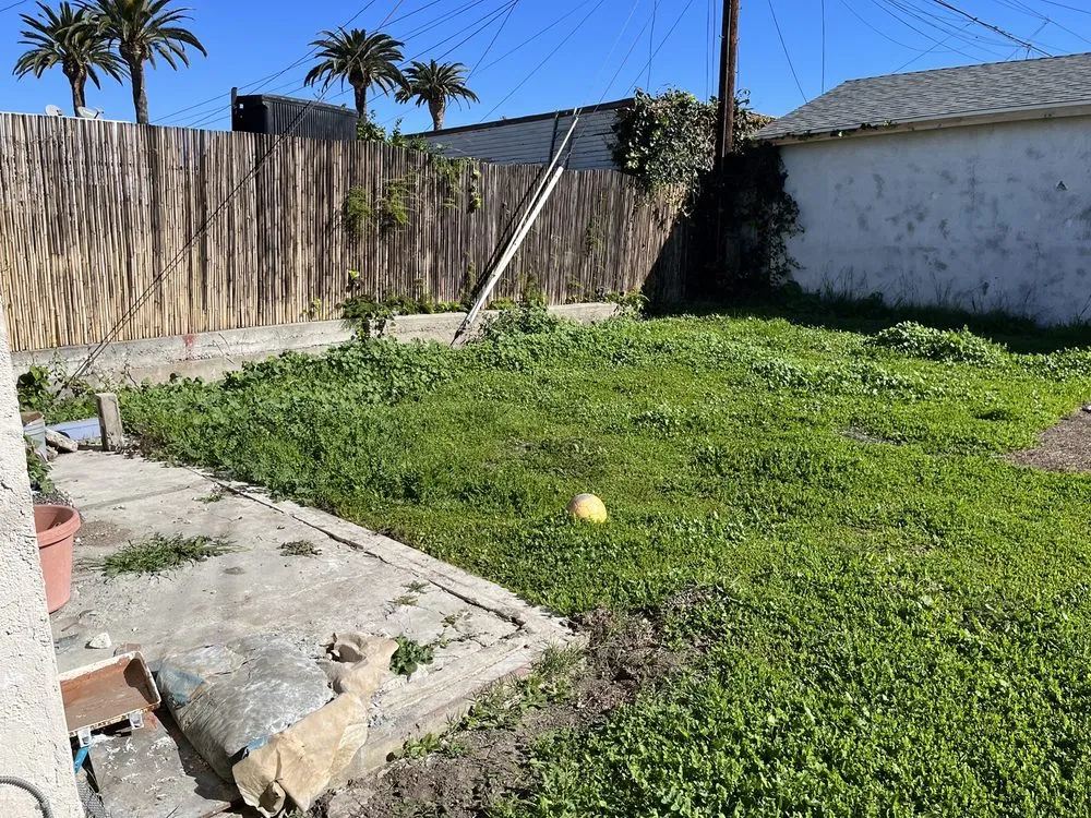 Trusted residential landscaping for residential properties across Inglewood, CA - M Flores Landscape