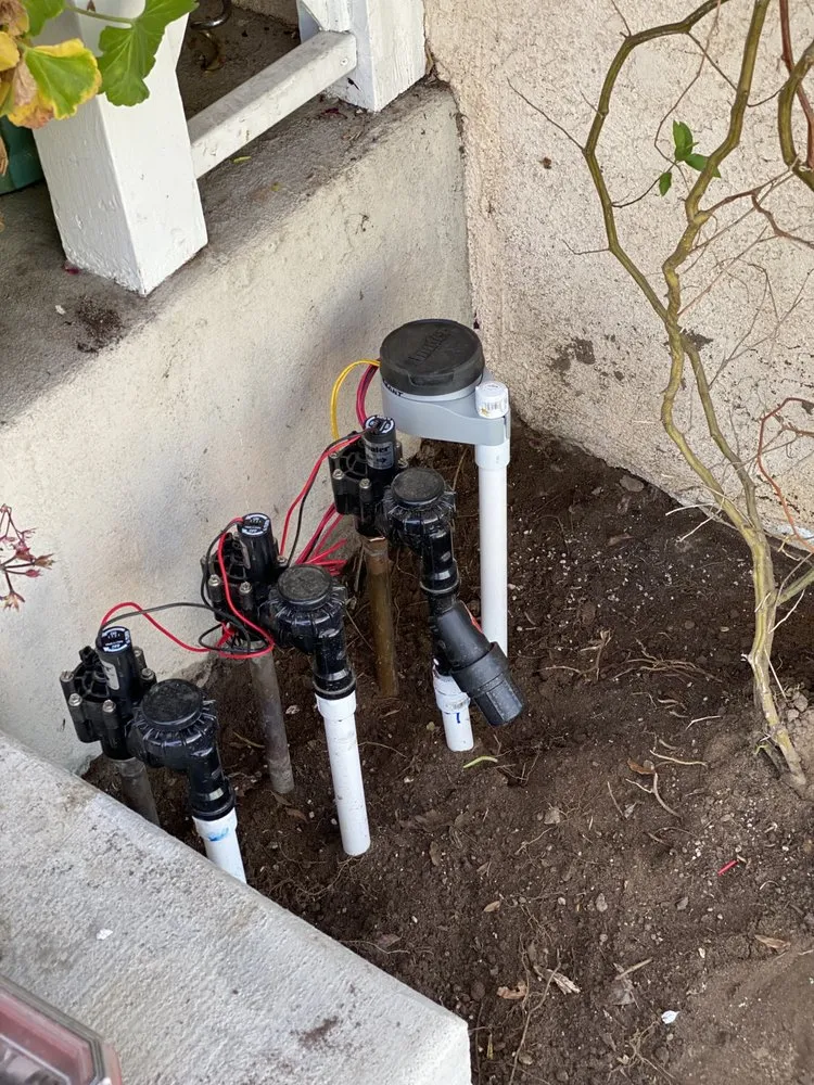 Professional garden landscaping in Inglewood, CA by M Flores Landscape