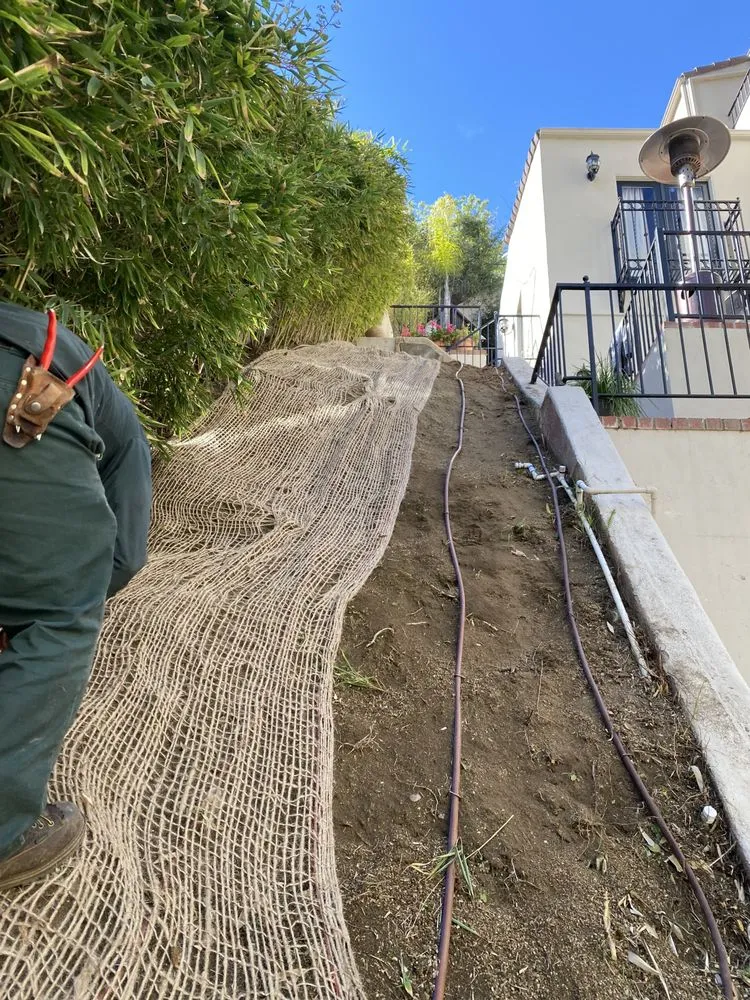 Custom yard cleanup service for year-round maintenance in Inglewood, CA by M Flores Landscape
