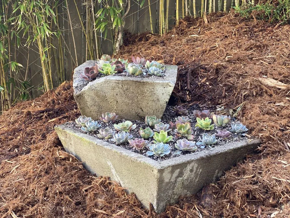 Professional outdoor landscaping in Inglewood, CA by M Flores Landscape