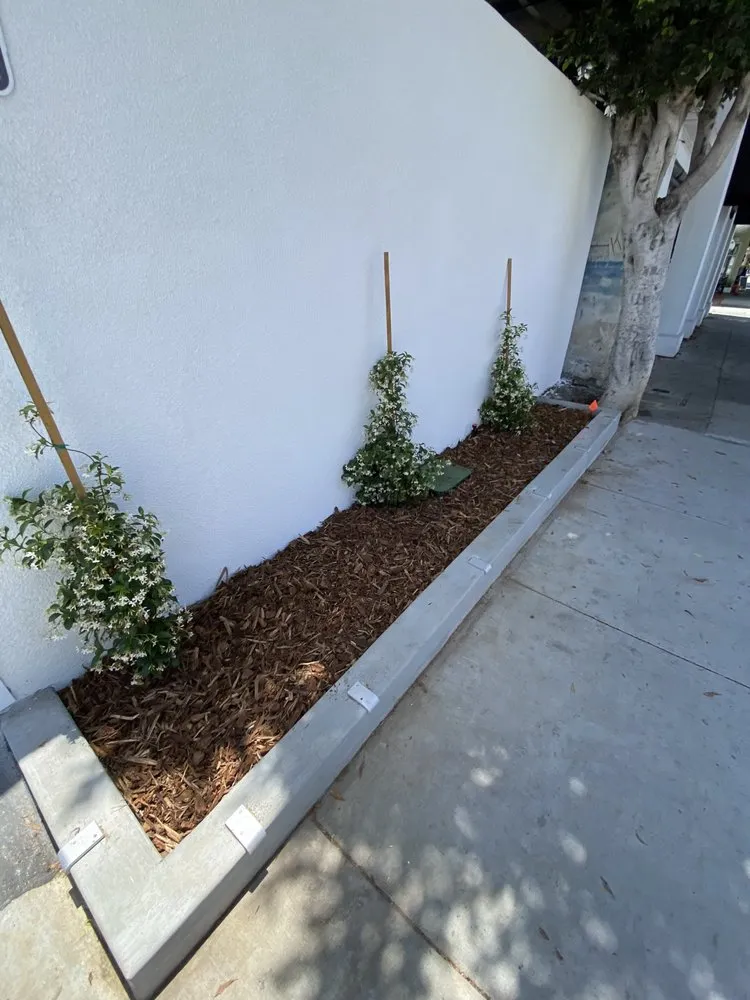 Expert lawn care service experts serving Inglewood, CA - M Flores Landscape