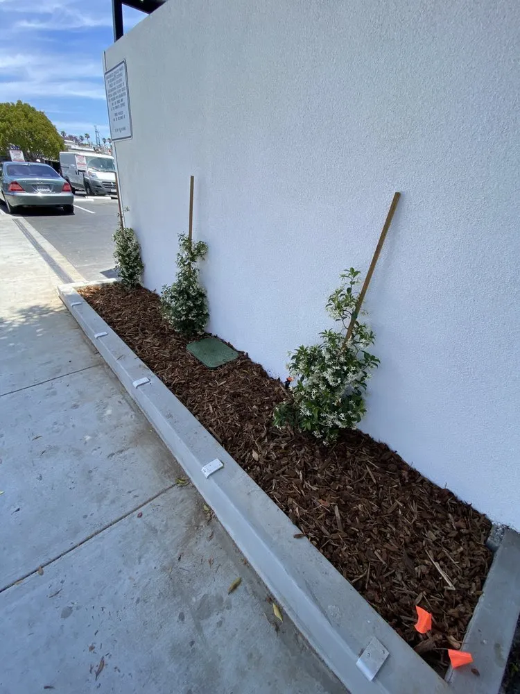 Custom garden landscaping in Inglewood, CA by M Flores Landscape