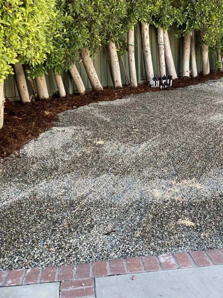 Professional landscaping services experts serving Inglewood, CA - M Flores Landscape