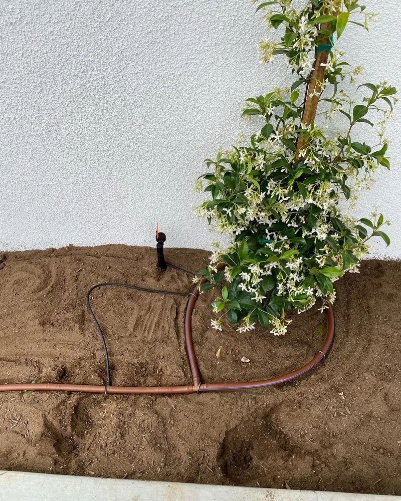 Reliable landscape design experts serving Inglewood, CA - M Flores Landscape