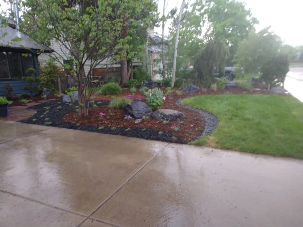 Professional lawn care service in Boulder, CO by M G Boulder Landscaping