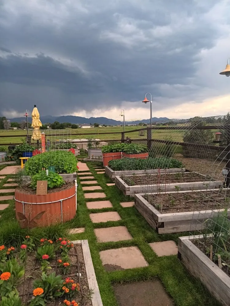 Reliable landscape installation experts serving Boulder, CO - M G Boulder Landscaping