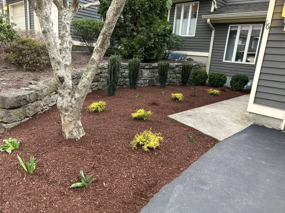 Affordable residential landscaping for homes in South Brunswick Township, NJ by M Gonzalez Landscaping