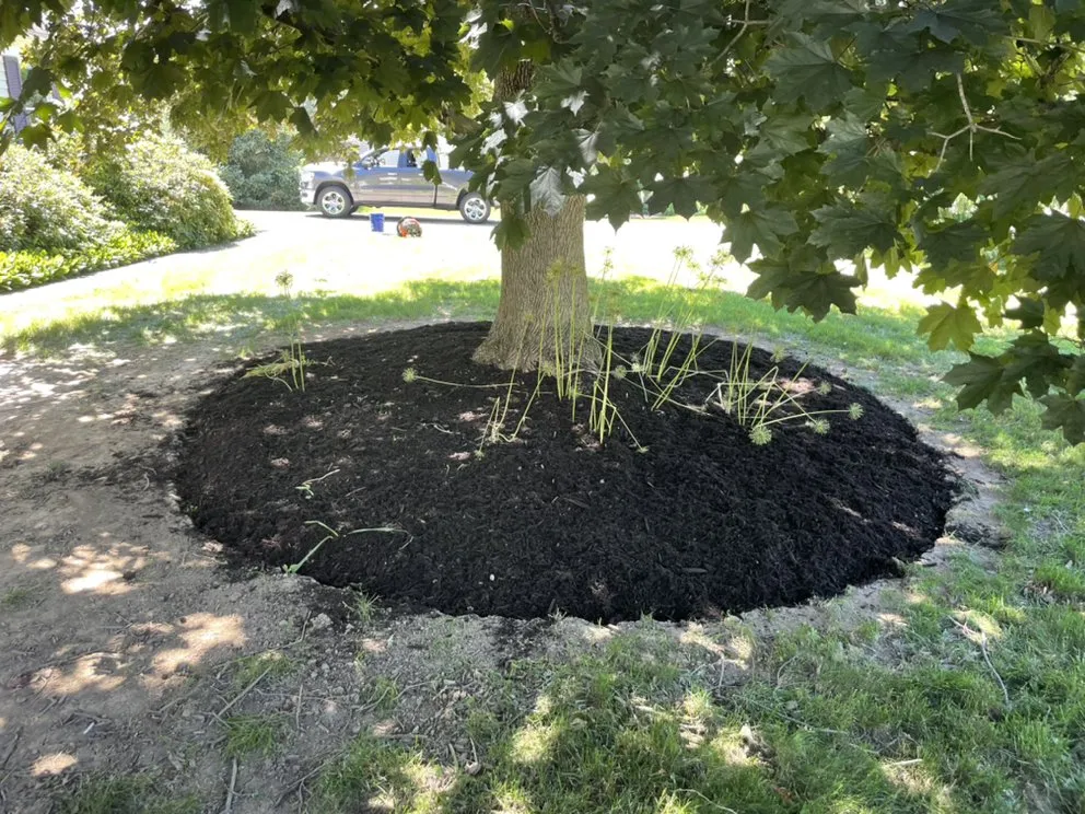 Affordable outdoor landscaping experts serving Cuyahoga Falls, OH - M H Lawn Services