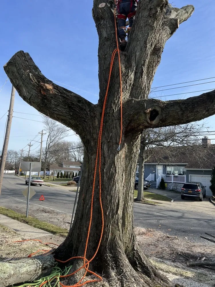 Reliable residential landscaping in Hempstead, NY - M Hernandez Landscaping and Design