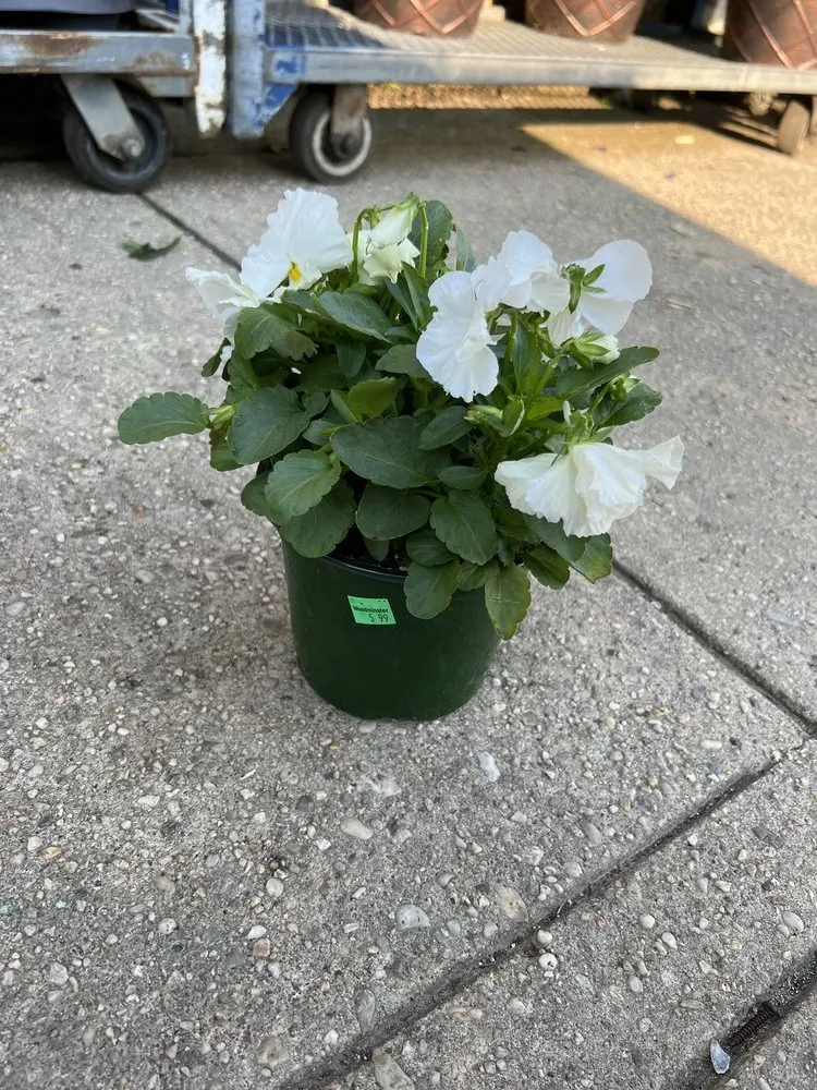 Reliable outdoor landscaping in Hempstead, NY - M Hernandez Landscaping and Design