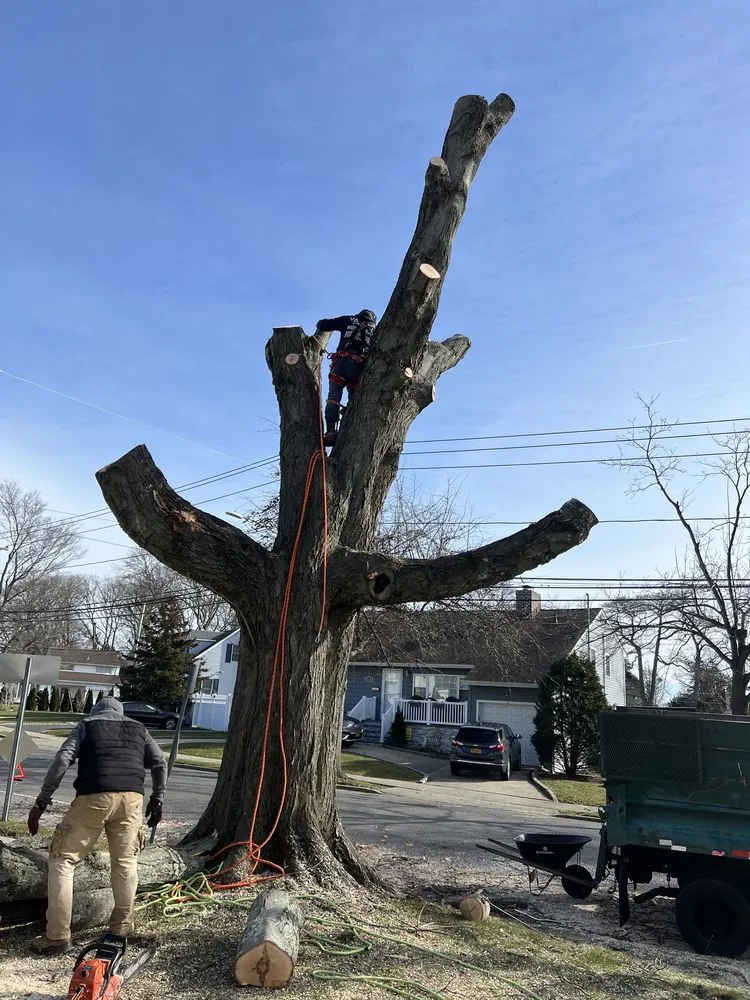 Custom garden landscaping near you across Hempstead, NY - M Hernandez Landscaping and Design