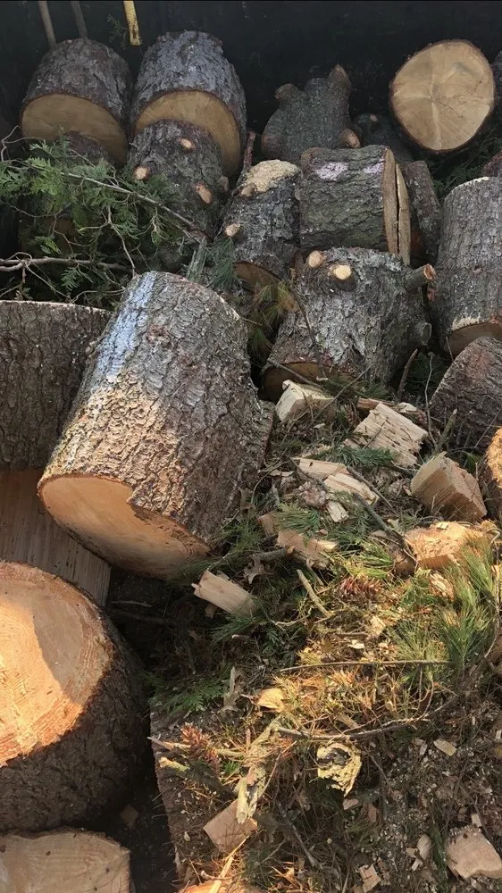 Trusted yard maintenance experts serving Hempstead, NY - M Hernandez Landscaping and Design