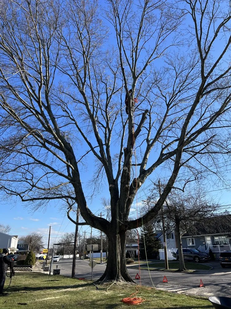 Top-rated landscape design for year-round maintenance in Hempstead, NY by M Hernandez Landscaping and Design