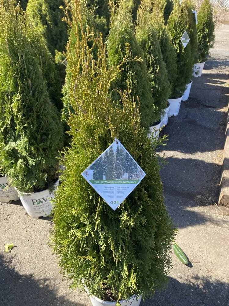 Trusted garden landscaping near you across Hempstead, NY - M Hernandez Landscaping and Design