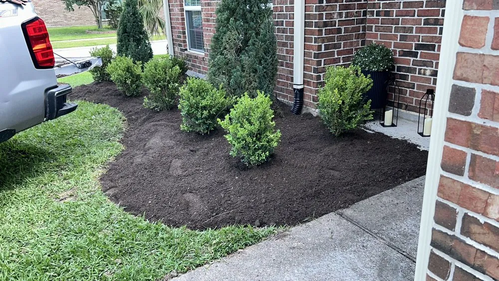 Expert landscape installation in Katy, TX - M J Gardening