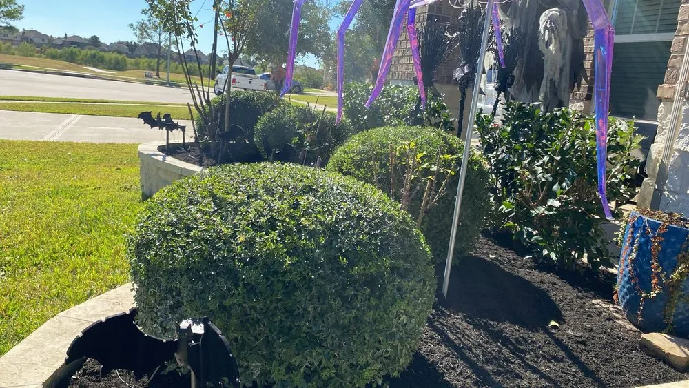 Professional landscape design in Katy, TX by M J Gardening