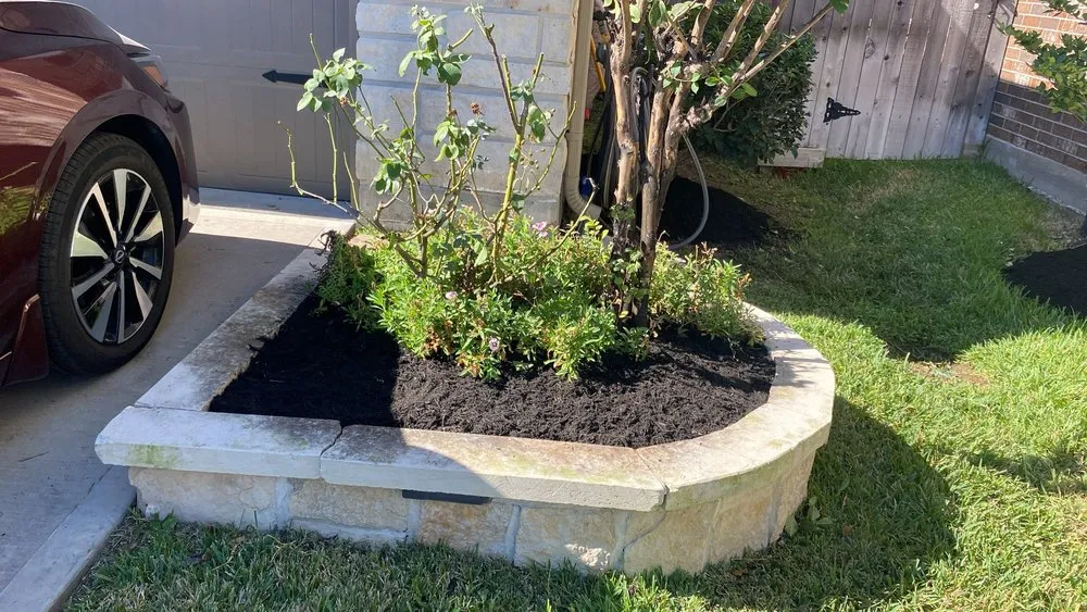 Trusted landscape installation for year-round maintenance across Katy, TX - M J Gardening