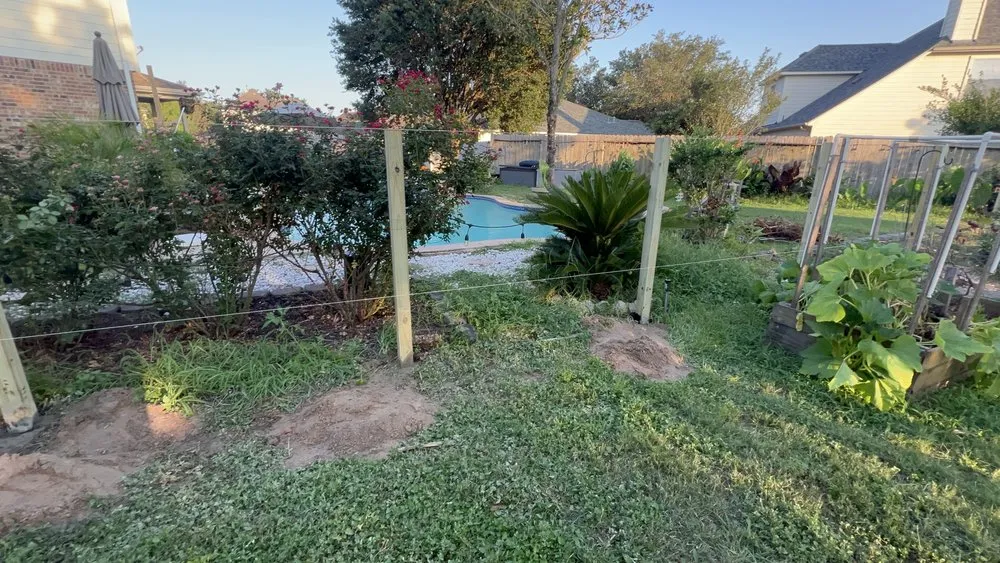 Trusted yard cleanup service in Katy, TX - M J Gardening