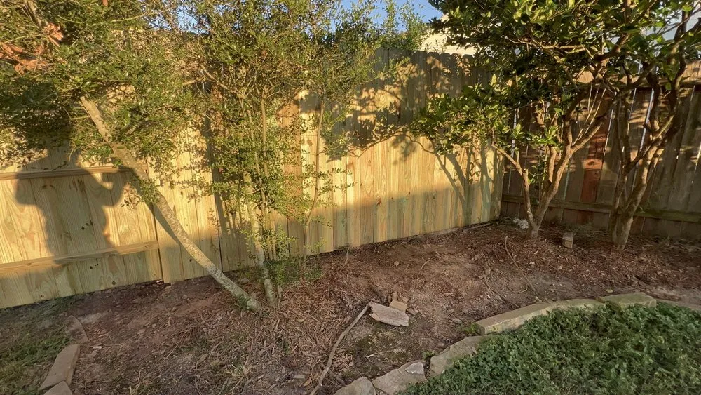 Custom landscaping services experts serving Katy, TX - M J Gardening