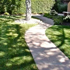 Top-rated residential landscaping experts serving San Carlos, CA - M J Newell Landscape & Maintenance