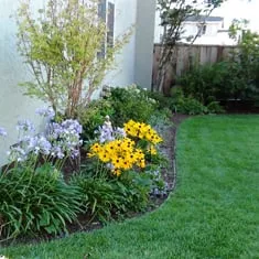 Top-rated residential landscaping experts serving San Carlos, CA - M J Newell Landscape & Maintenance