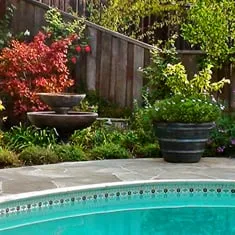 Reliable yard maintenance in San Carlos, CA by M J Newell Landscape & Maintenance