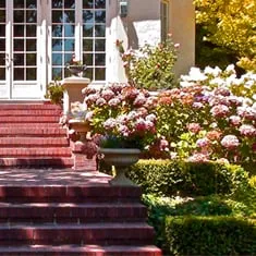 Top-rated yard maintenance in San Carlos, CA - M J Newell Landscape & Maintenance