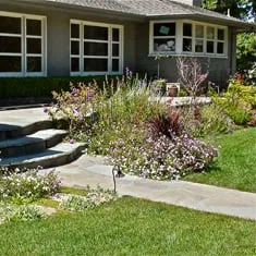 Trusted yard cleanup service in San Carlos, CA by M J Newell Landscape & Maintenance