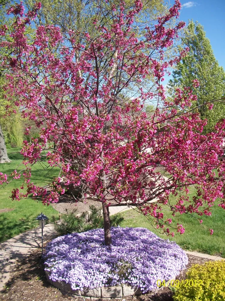 Local landscape design in Monee, IL - M J Swanson Contracting, Inc.