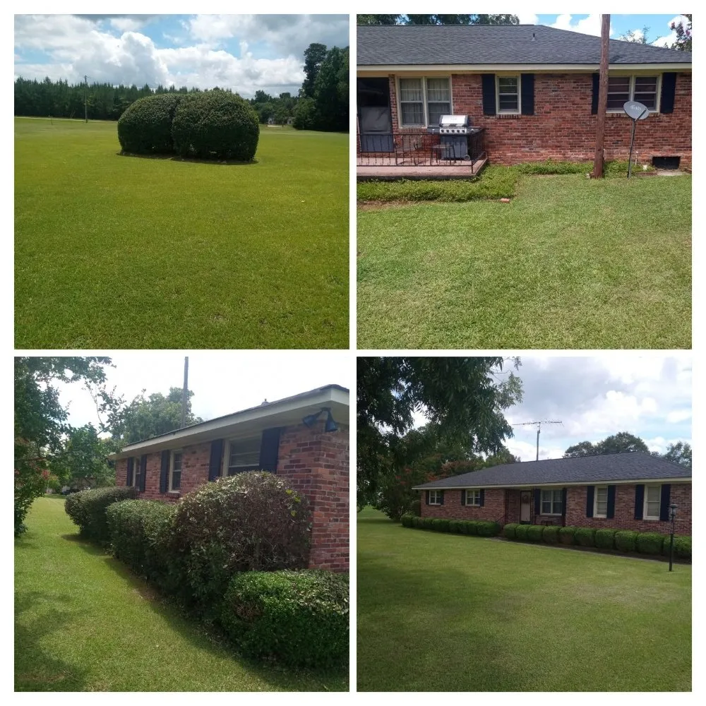 Professional garden landscaping in Sandersville, GA - M Johnson General Labor