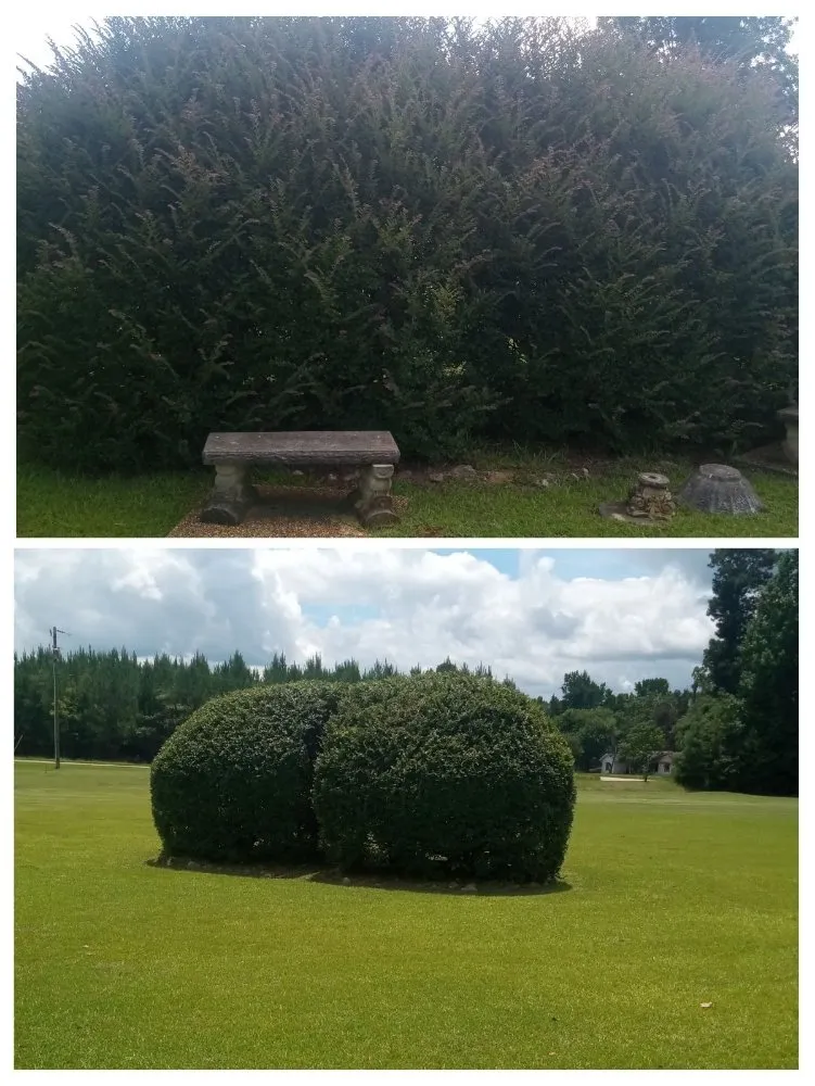 Local yard cleanup service with custom design across Sandersville, GA - M Johnson General Labor