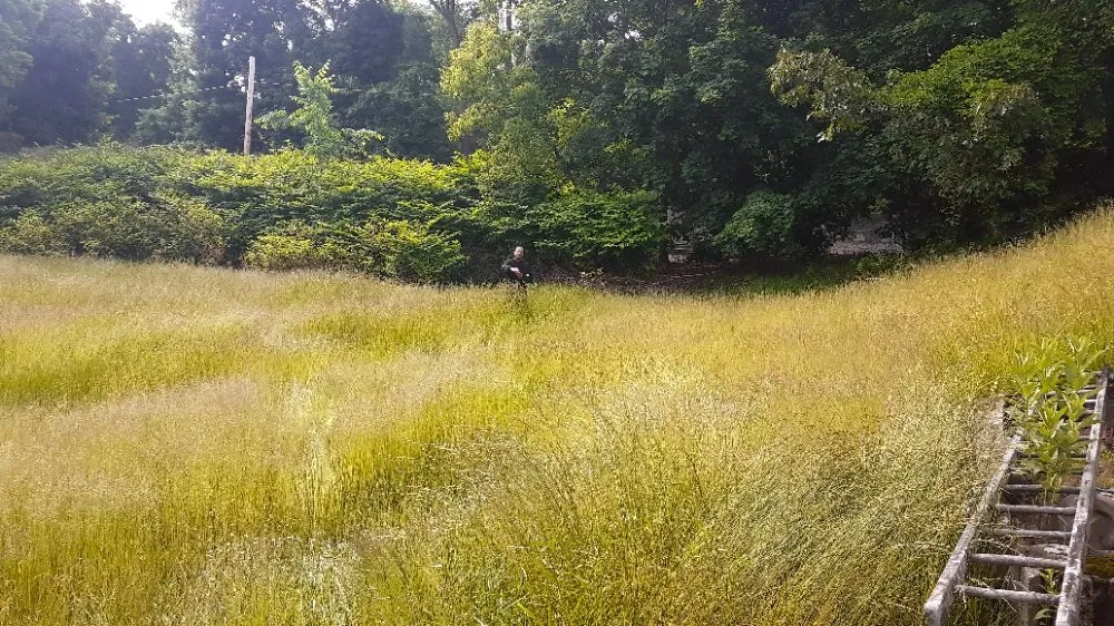 Trusted landscaping services in New Bedford, MA by M K Mowing & More