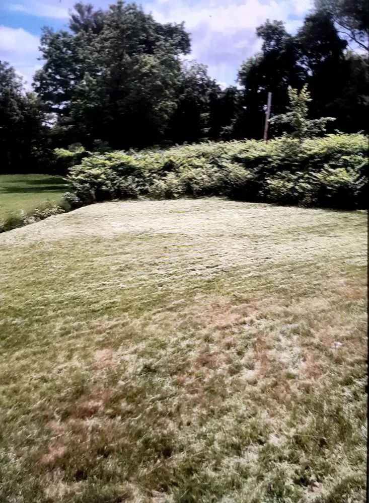 Local residential landscaping experts serving New Bedford, MA - M K Mowing & More