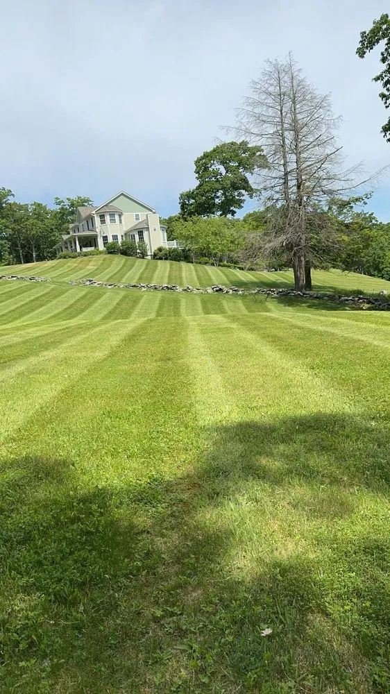 Expert lawn care service experts serving Hillsdale, NY - M K Residential Services