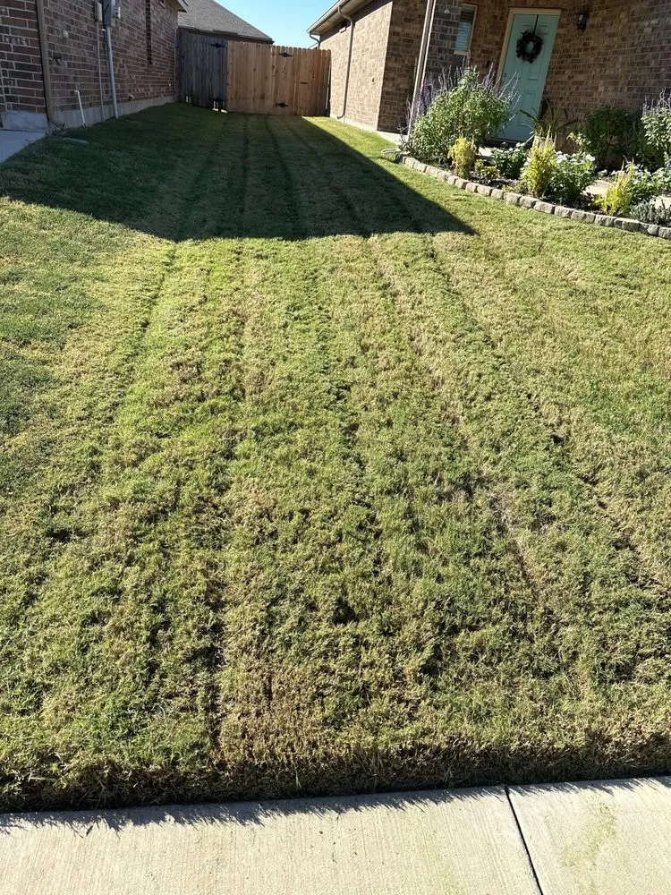 Trusted landscape installation for year-round maintenance across Fort Worth, TX - M Lawn Care